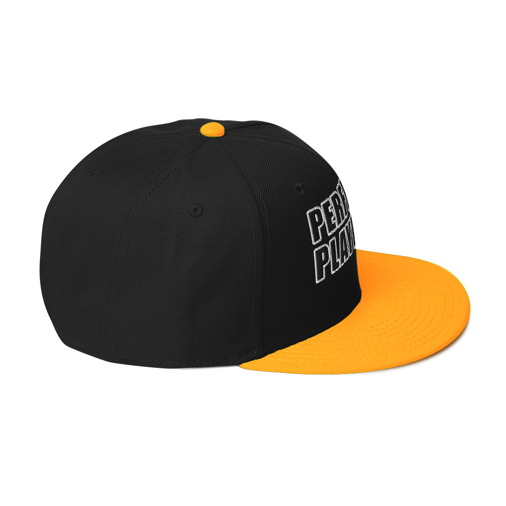 Perfectly Played Snapback - Image 24